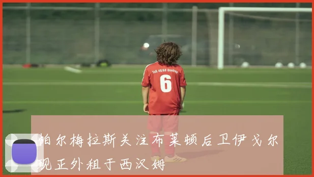 帕尔梅拉斯关注布莱顿后卫伊戈尔现正外租于西汉姆