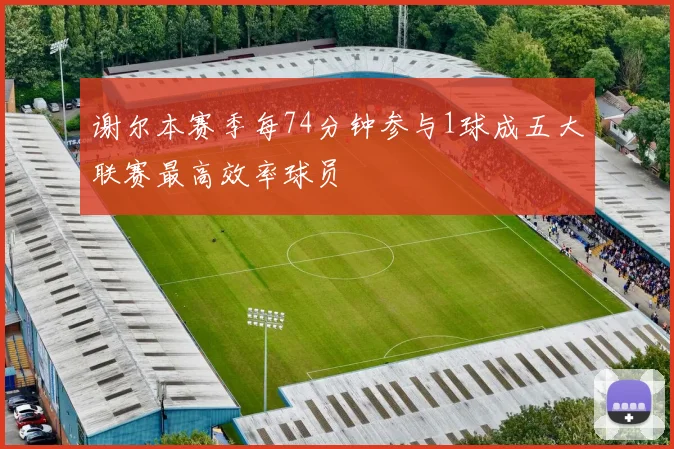 谢尔本赛季每74分钟参与1球成五大联赛最高效率球员