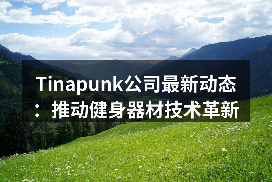 Tinapunk全新智能健身车