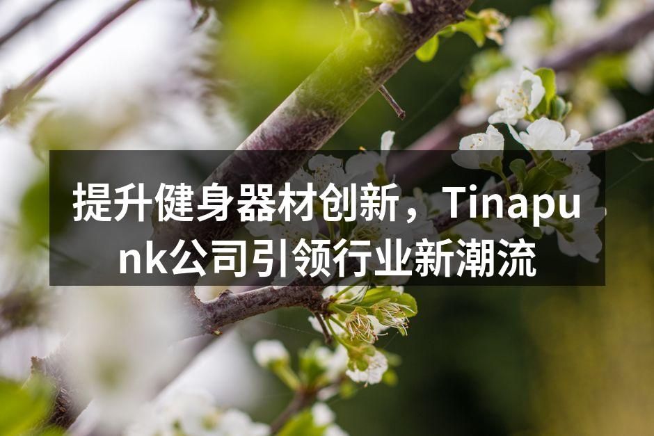 Tinapunk智能跑步机,提升您的运动体验。
