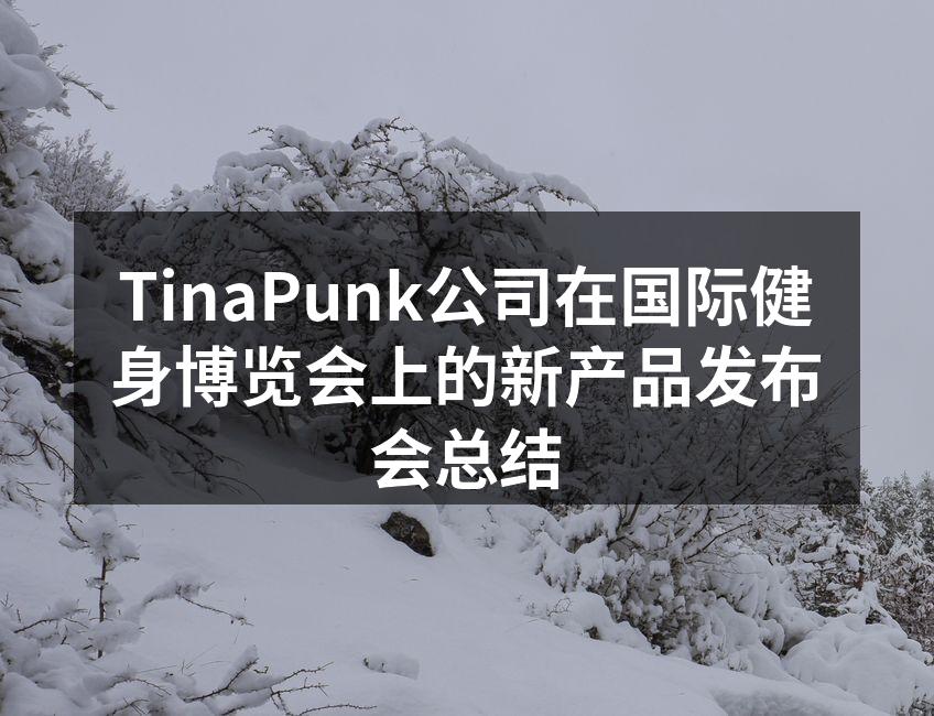 TinaPunk展示最新智能健身器材