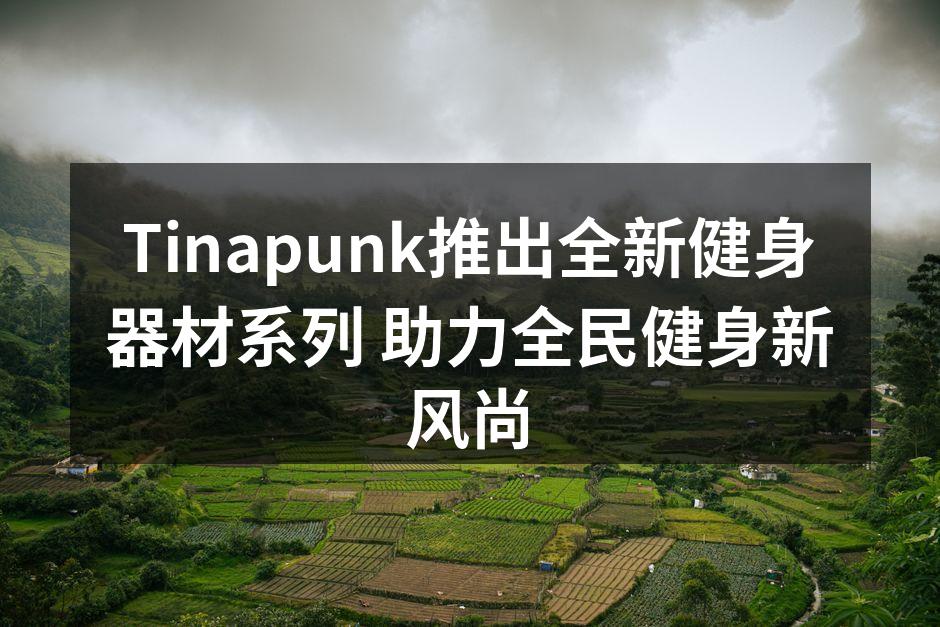 Tinapunk全新智能健身器材系列